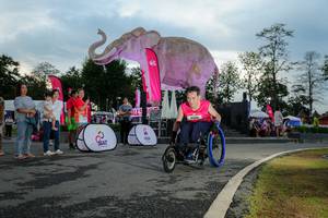 BIB: 
                            <button type="button" onclick="openModal(26529365)" class="btn btn-primary btn-sm float-right btn-popup" data-toggle="modal" data-target=".modal-high-quality">
                        <i class="fas fa-shopping-cart"></i> Add to Cart
                    </button>
                                            <button type="button" onclick="isThisMe(26529365, true)" class="btn btn-success btn-sm float-right btn-popup btn-isme hidden" data-toggle="tooltip" data-placement="bottom" title="นี่คือรูปของคุณใช่ไหม คลิกที่นี่เพื่อเอาเข้าอัลบั้ม">
                        <i class="fas fa-plus"></i> Add to album
                    </button>
                    <button type="button" onclick="isThisMe(26529365, false)" class="btn btn-warning btn-sm float-right btn-popup btn-isnotme hidden">
                        <i class="fas fa-ban"></i> Remove from album
                    </button>